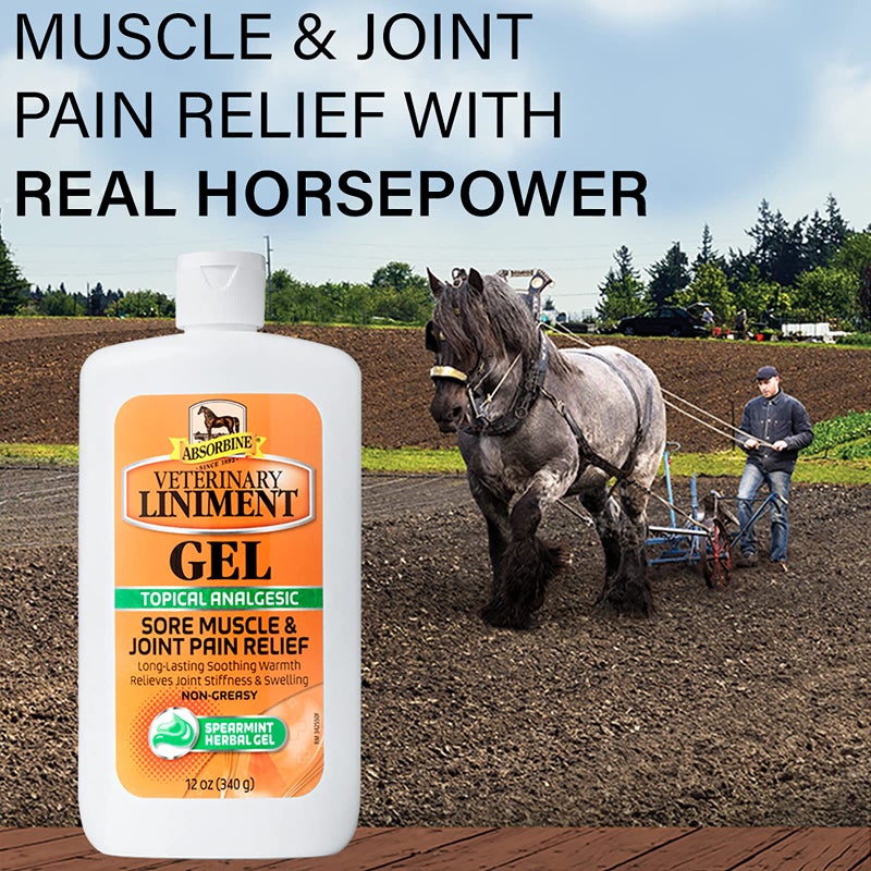 Absorbine مرهم أبسوربين البيطري المسكن الموضعي لتخفيف آلام العضلات المؤلمة والتهاب المفاصل، 12 أونصة جل - Image 3
